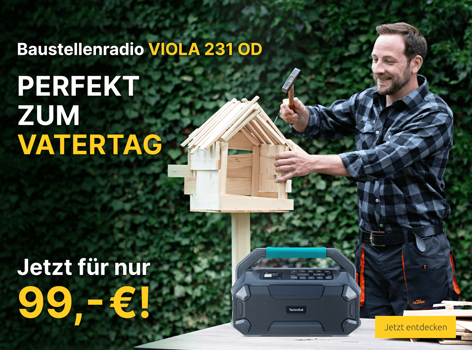 TechniSat VIOLA 231 OD Outdoor-Radio